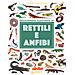 Emanuela Busà - Enciclopedia illustrata di rettili e anfibi. Ediz. a colori - Foto miniatura 1