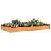 Fioriera Da Giardino Fodera Marrone 240x120x25cm Massello Abete - Foto miniatura 2
