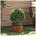 Vasi da giardino 5 pcs Marrone 30 x 30 x 20 cm Acciaio corten - Foto miniatura 2