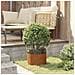 Vasi da giardino 5 pcs Marrone 30 x 30 x 20 cm Acciaio corten - Foto miniatura 4