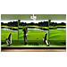 LS630W videoproiettore Proiettore a raggio standard 4500 ANSI lumen DMD WXGA (1280x800) Bianco - Foto miniatura 16
