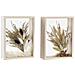 Fiore Decorativo Dkd Home Decor 16 X 6 X 21 Cm Beige Marrone Fiori (2 Unità) - Foto miniatura 1