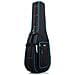 Agc-advance Acoustic - Foto miniatura 1