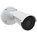 02151-001 telecamera di sorveglianza Pallottola (forma) Telecamera di sicurezza IP Interno e esterno 768 x 576 Pixel Soffitto /muro - Foto miniatura 3
