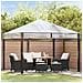 Sostituzione Copertura Gazebo Trasparente 300 x 300 x 26 cm PVC - Foto miniatura 3