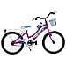 Bici Da Bimba Mtb Misura 20 Mountain Bike Bambina Modello Lincy Ly20sc Senza Cambio 1v - 28 Fuxia Azzurro - Foto miniatura 1