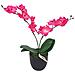Orchidea Artificiale Con Vaso 30 Cm Rossa - Foto miniatura 1