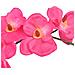Orchidea Artificiale Con Vaso 30 Cm Rossa - Foto miniatura 2