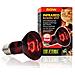 Heat Glo 50w, Lampada Riscaldante A Infrarossi - Foto miniatura 1