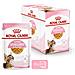Sterilised Kitten Jelly Royal Canin 12x85 Gr - Foto miniatura 2
