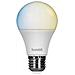 Lampadina LED Intelligente HBEB-0125 E27 CCT 9W 800 Lumen - Foto miniatura 1