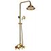 Rubinetto per doccia, Blackswan, tipo M42, modello oro lucido, misura 20 cm - Foto miniatura 1