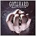 Gotthard - Need To Believe - Foto miniatura 1