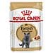 British Shorthair Buste Royal Canin 12x85 Gr - Foto miniatura 1