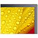MultiSync ME431 Pannello piatto per segnaletica digitale 109,2 cm (43") IPS 400 cd /m² 4K Ultra HD Nero 18/7 - Foto miniatura 18