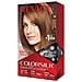 Permanent Hair Color, Tintura Permanente Per Capelli, Colorisilk Con Copertura Grigia Al 100%, Senza Ammoniaca, Cheratina E Aminoacidi, 54 Castano Dorato Chiaro, 44 Oz (confezione Da 1) - Foto miniatura 1