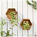 Fioriere Da Parete 2 Pz Ruggine In Acciaio Corten 30x10x25 Cm - Foto miniatura 2