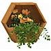 Fioriere Da Parete 2 Pz Ruggine In Acciaio Corten 30x10x25 Cm - Foto miniatura 7