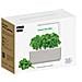 Clicandgrow Smart Garden 3 Beige Giardino Domestico + Capsule Di Basilico - Foto miniatura 3