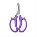 Forbici Da Fiori Professionali: Cesoie Per Fioristi In Acciaio Inossidabile Purple - Foto miniatura 2