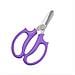 Forbici Da Fiori Professionali: Cesoie Per Fioristi In Acciaio Inossidabile Purple - Foto miniatura 3