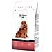 Cibo per cani Dog Adult Medium Maintenance Prosciutto 12 kg - Foto miniatura 3