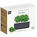 Click & Grow Smart Garden 3 Giardino Domestico Grigio + Capsule Di Basilico - Foto miniatura 3