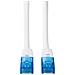 Cavo Rete Cat6 Utp Bulk Bianco 20m - Foto miniatura 7