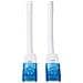 Cavo Rete Cat6 Utp Bulk Bianco 20m - Foto miniatura 2