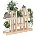 Supporto per Piante 104,5x25x77,5 cm in Legno Massello di Pino - Foto miniatura 3