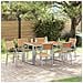 Set da Pranzo da Giardino in 7 Pezzi in Legno Massello di Acacia e Metallo - Foto miniatura 2