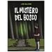 Luigi Ballerini - Il mistero del bosco - Foto miniatura 1