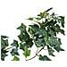 Ivy Bush Tendril Classic, Artificial, 70cm - Foto miniatura 3