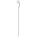 Cavo Lightning Verso Usb-c Carica E Sincronizzazione 1m, Bianco - Foto miniatura 3