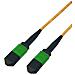MPO12B-25 cavo InfiniBand e in fibra ottica 5 m MPO-12 Giallo - Foto miniatura 1