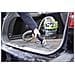 Pulitore a Vapore SpotClean Pet Pro Capacità 2,9 L Potenza 750 Watt Colore Nero / Grigi / Verde - Foto miniatura 3