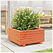 Fioriera Giardino Marrone Cera 50x50x26,5cm Legno Massello Pino - Foto miniatura 3