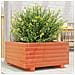 Fioriera Giardino Marrone Cera 50x50x26,5cm Legno Massello Pino - Foto miniatura 1