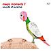 Magic Moments 7 (Sounds Of Surprise)  - Foto miniatura 1