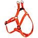 Pettorina Nylon Resistente Cane Cani Easy P Colori Misure Varie - Foto miniatura 1