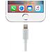 Caricabatterie Da Muro Presa Usb 1a + Cavo Iphone 5, 5s, 6, 6s, 6+. . . - Foto miniatura 5