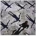 Cd Muse - Absolution - Foto miniatura 2