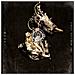 Seth - The Howling Spirit - Foto miniatura 1
