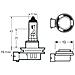 Lampadina 12v 19w H16 - Foto miniatura 2