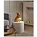 Lampada Da Tavolo Cane Rocco Oro - Foto miniatura 1