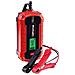Carica Batteria Einhell Ce-bc 12 V - Foto miniatura 1