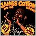 James Cotton - Live From Chicago - Foto miniatura 1