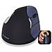 Evoluent4 Wireless, RF Wireless, Ufficio, Pressed buttons, Rotella, Ottico, Batterie - Foto miniatura 2