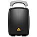Diffusore MPA40BT-PRO Universale 2-vie da Pavimento 45 - 18000 Hz Manopola Nero - Foto miniatura 5