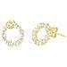 Gioielli Radiant Ry000025. Orecchini, Colore Oro. Donna. - In ordine - Foto miniatura 1